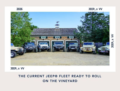 Vineyard Vines Promo Banner