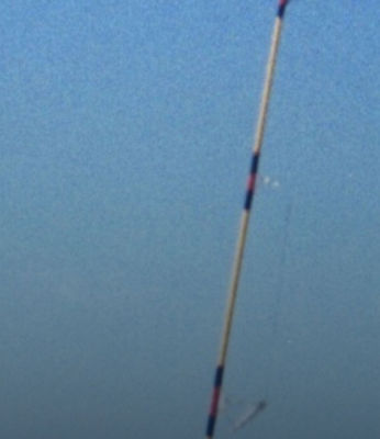 Vineyard Vines Promo Banner